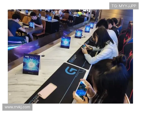 杨芳专访：探寻王者荣耀的辉煌历程与未来展望